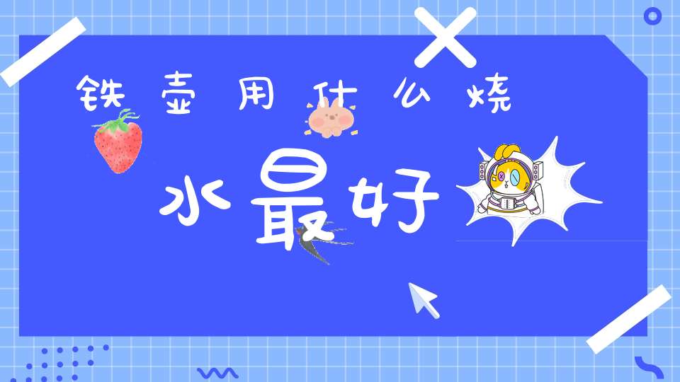 铁壶用什么烧水最好