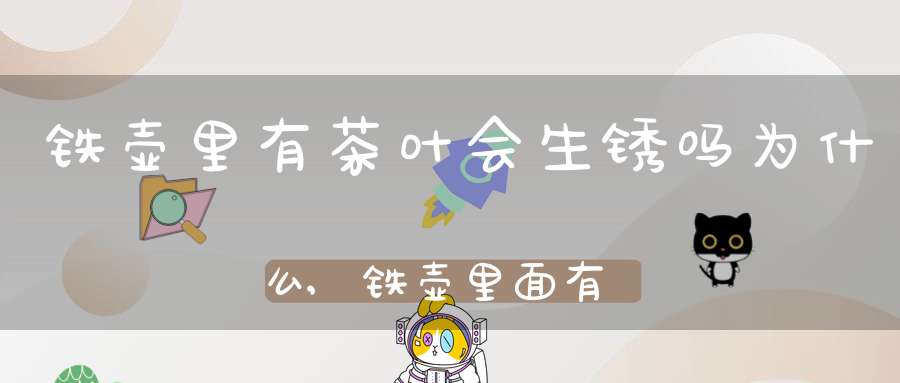 铁壶里有茶叶会生锈吗为什么,铁壶里面有锈怎么办
