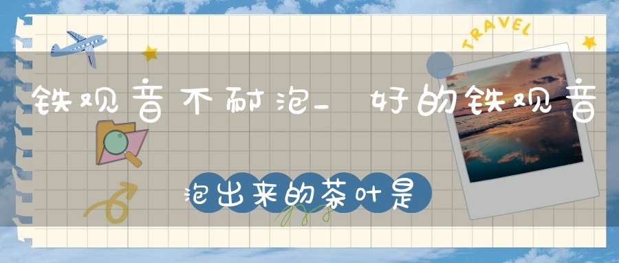 铁观音不耐泡_好的铁观音泡出来的茶叶是怎么样的