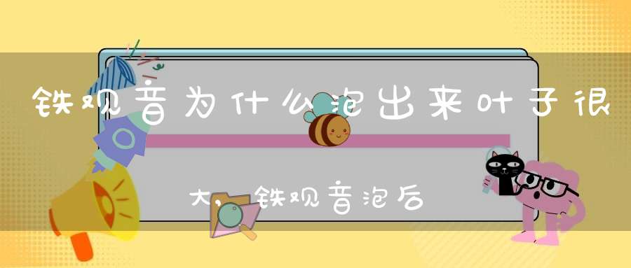 铁观音为什么泡出来叶子很大,铁观音泡后叶子越完整越好吗