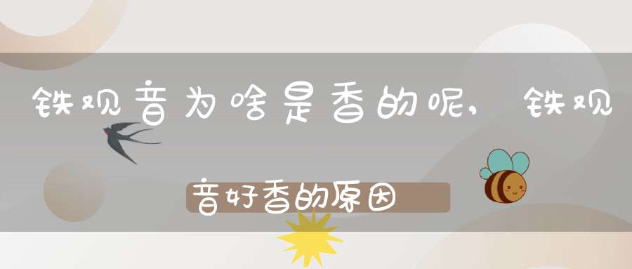 铁观音为啥是香的呢,铁观音好香的原因