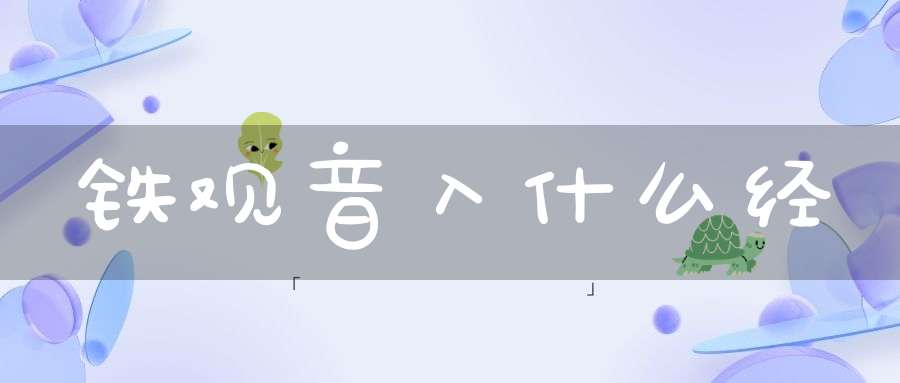 铁观音入什么经