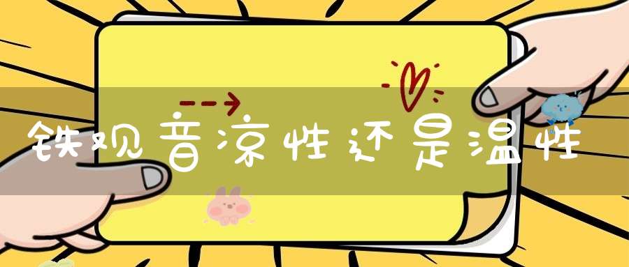 铁观音凉性还是温性