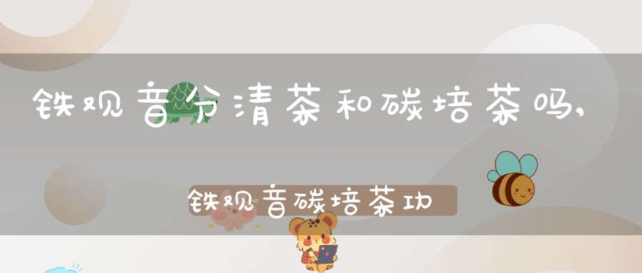 铁观音分清茶和碳培茶吗,铁观音碳培茶功效