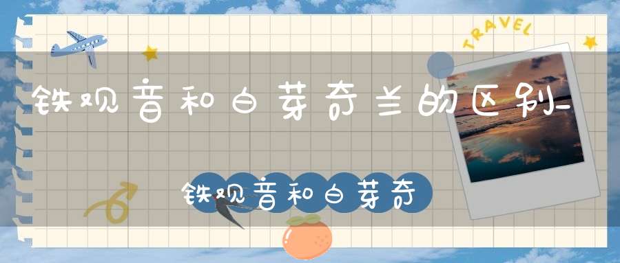 铁观音和白芽奇兰的区别_铁观音和白芽奇兰哪个好喝