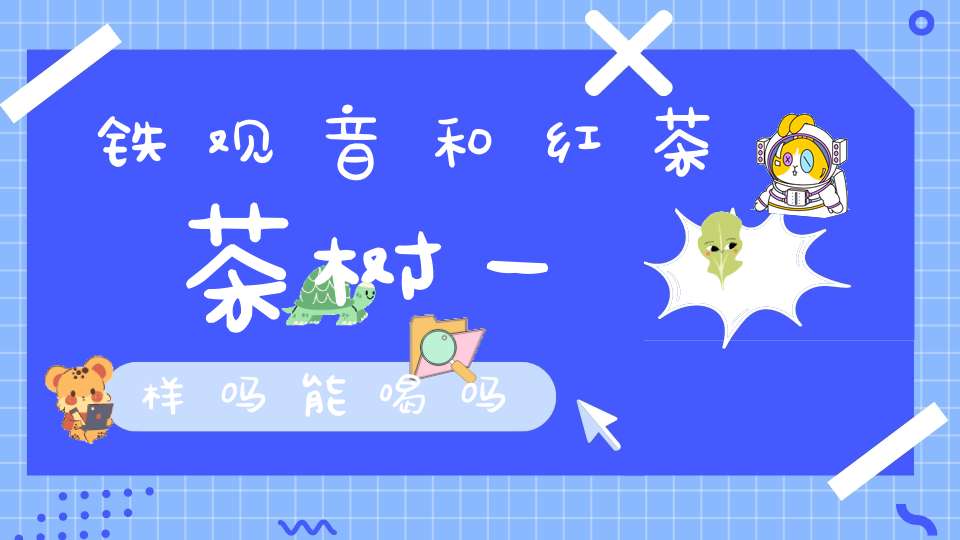 铁观音和红茶茶树一样吗能喝吗