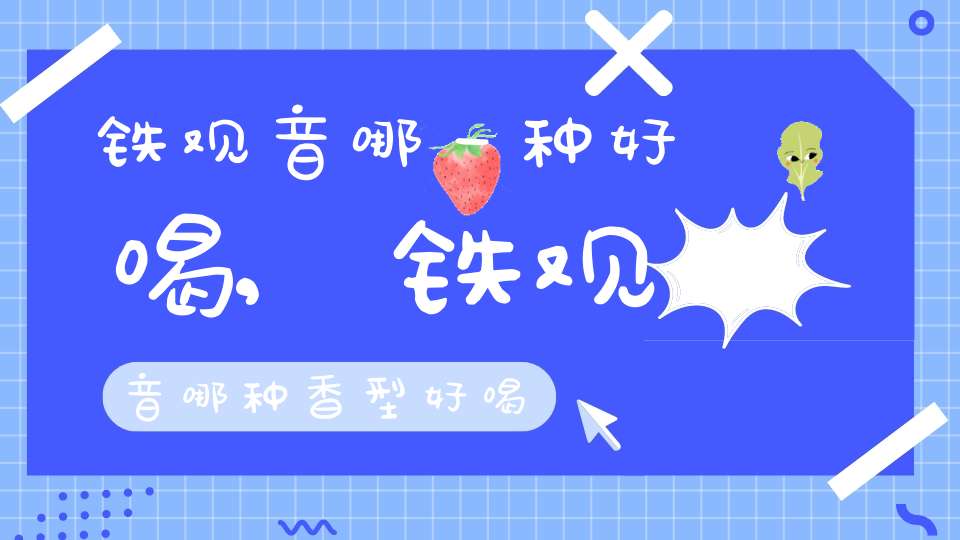 铁观音哪一种好喝,铁观音哪种香型好喝