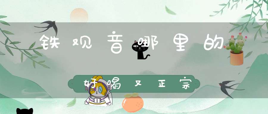 铁观音哪里的好喝又正宗