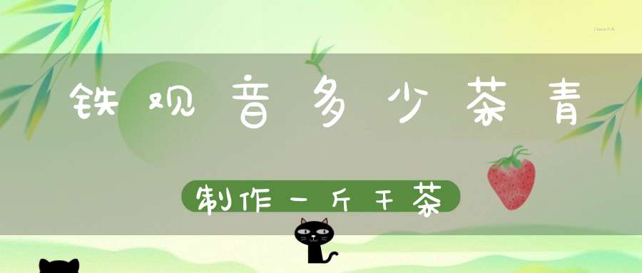铁观音多少茶青制作一斤干茶