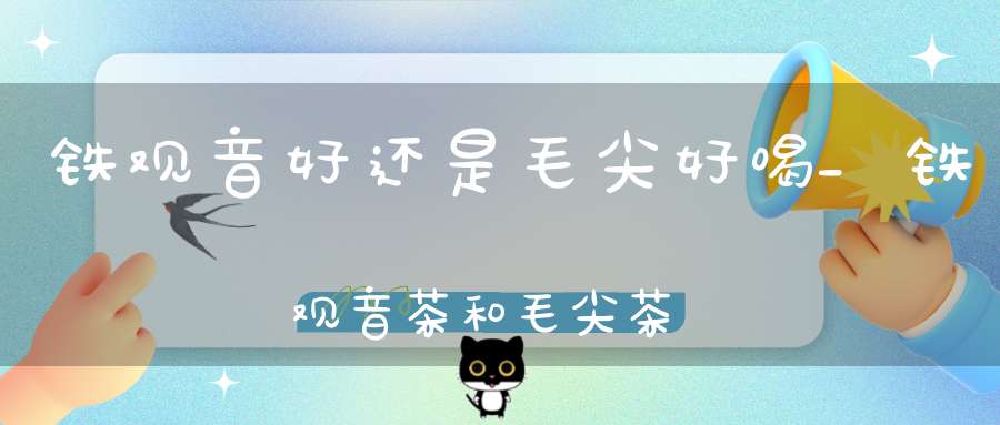 铁观音好还是毛尖好喝_铁观音茶和毛尖茶哪个好哪个贵?