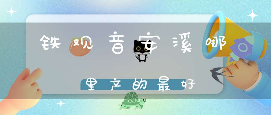 铁观音安溪哪里产的最好