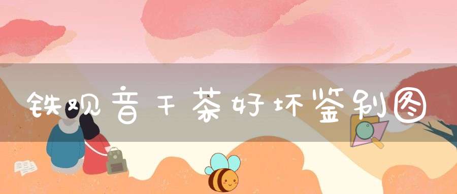 铁观音干茶好坏鉴别图