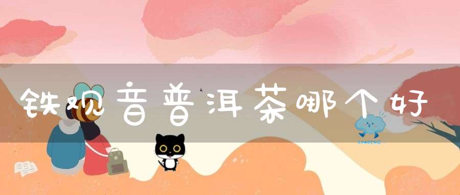 铁观音普洱茶哪个好