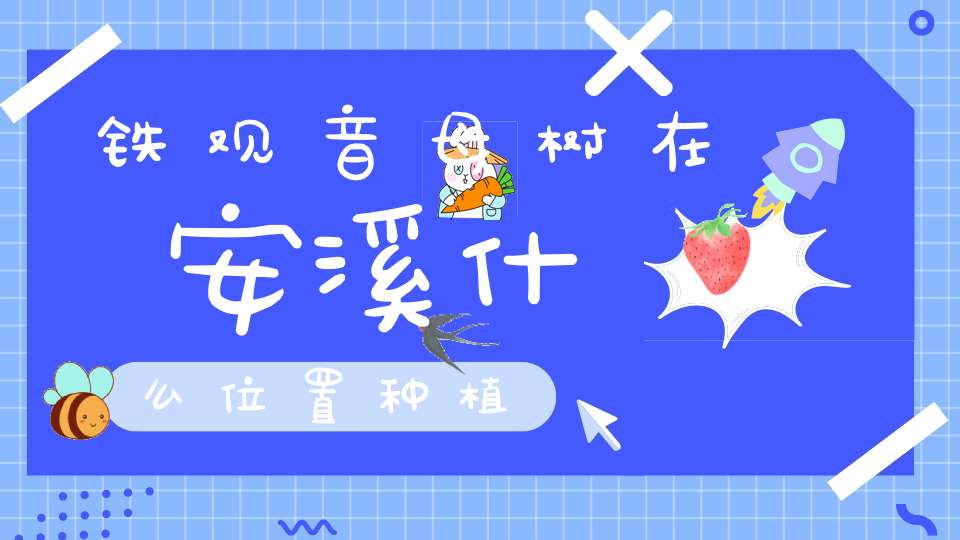铁观音母树在安溪什么位置种植