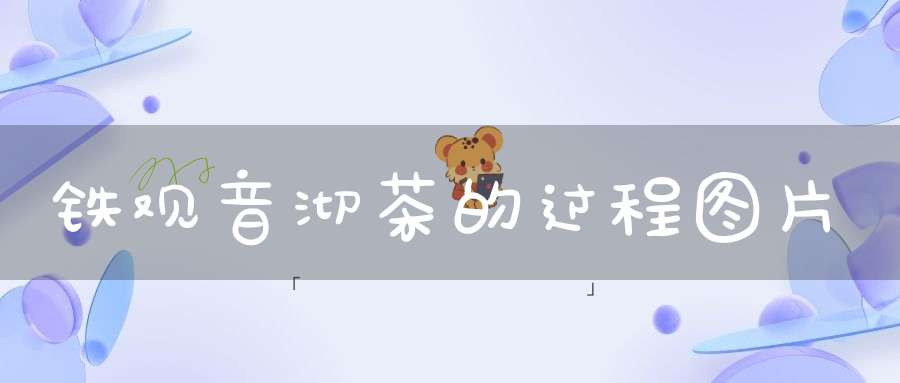 铁观音沏茶的过程图片