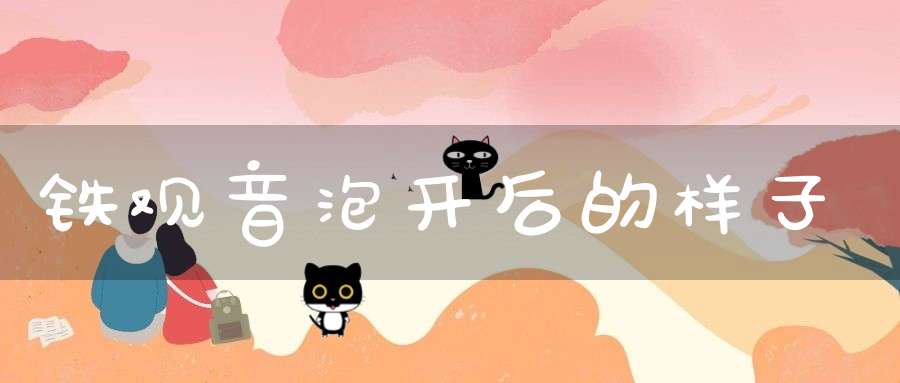 铁观音泡开后的样子