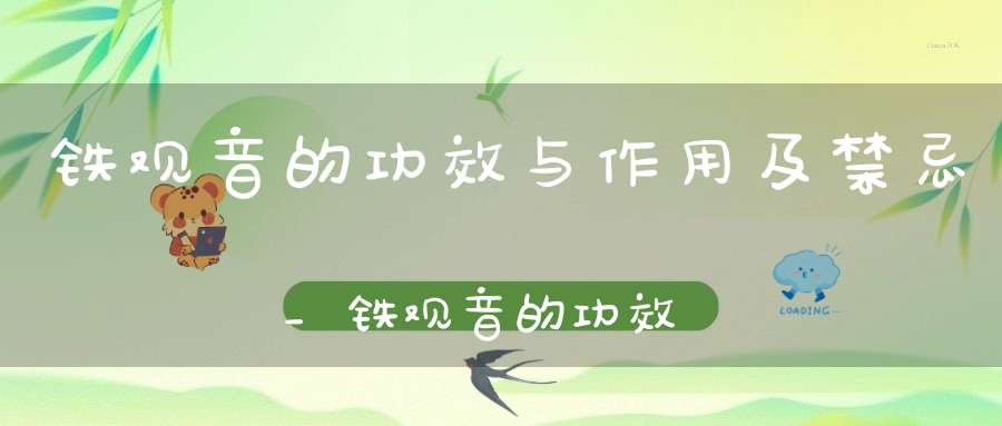 铁观音的功效与作用及禁忌_铁观音的功效与作用什么人不能喝