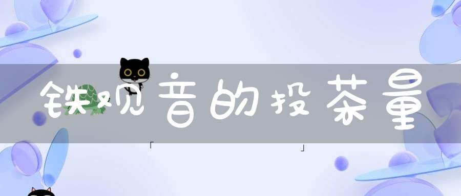 铁观音的投茶量