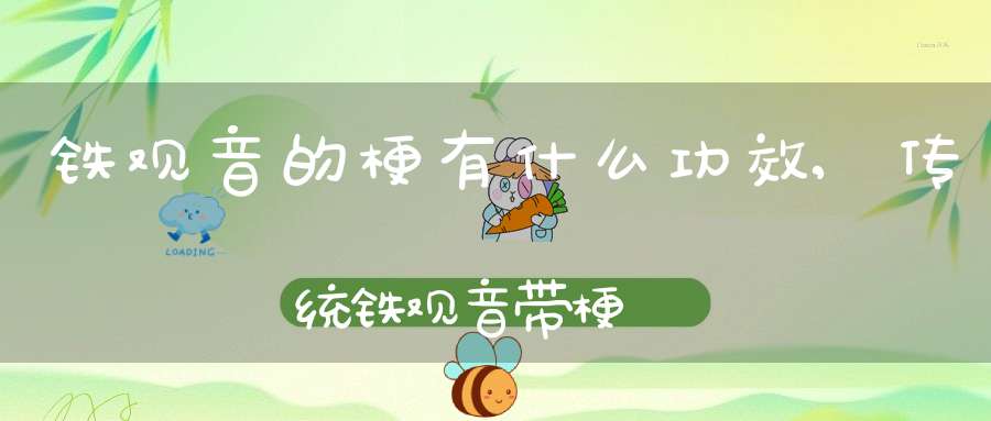 铁观音的梗有什么功效,传统铁观音带梗