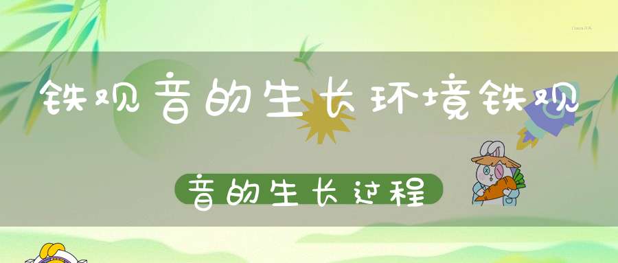铁观音的生长环境铁观音的生长过程