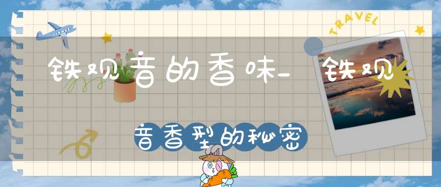 铁观音的香味_铁观音香型的秘密