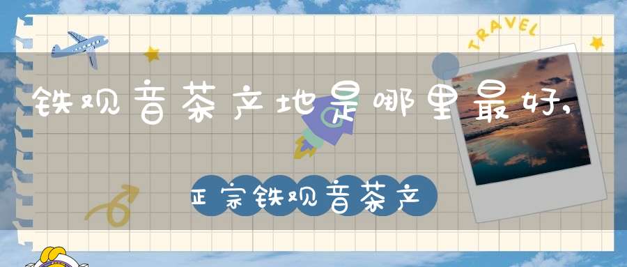 铁观音茶产地是哪里最好,正宗铁观音茶产地是哪里