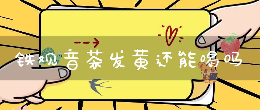 铁观音茶发黄还能喝吗