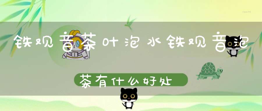 铁观音茶叶泡水铁观音泡茶有什么好处