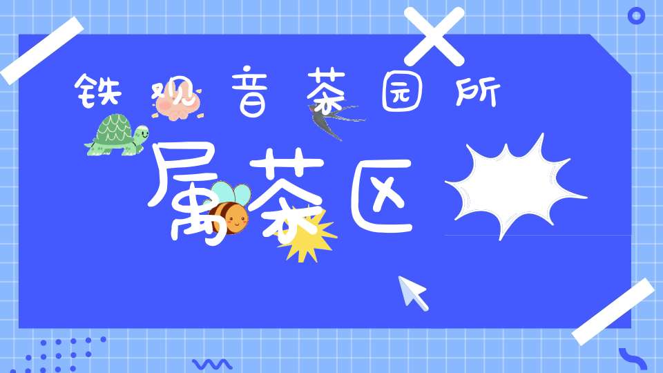 铁观音茶园所属茶区