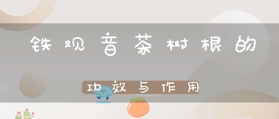 铁观音茶树根的功效与作用