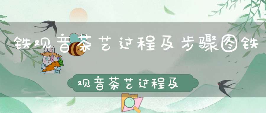 铁观音茶艺过程及步骤图铁观音茶艺过程及步骤介绍