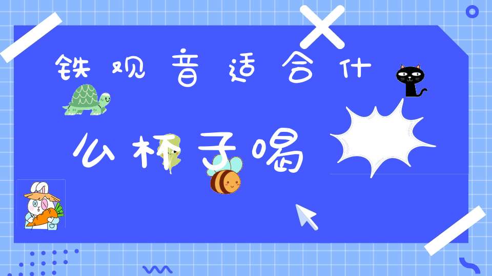 铁观音适合什么杯子喝