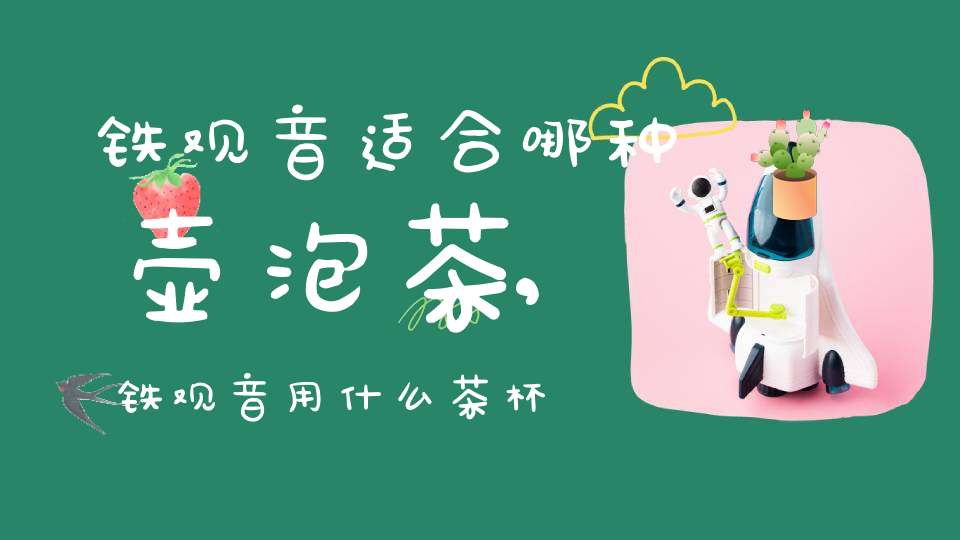 铁观音适合哪种壶泡茶,铁观音用什么茶杯泡最好