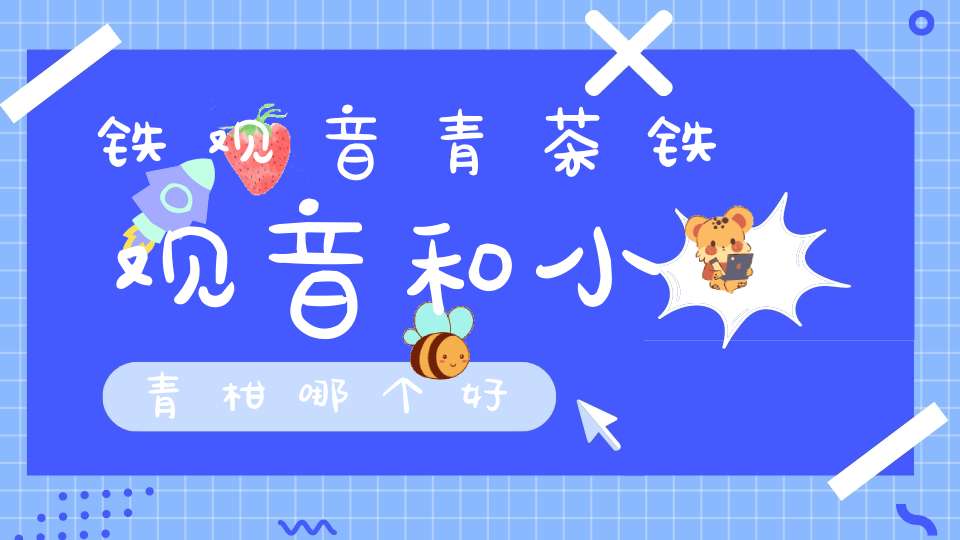 铁观音青茶铁观音和小青柑哪个好