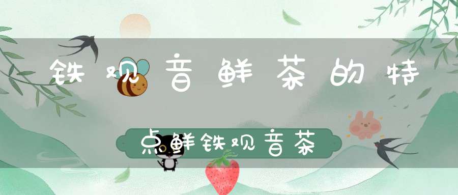 铁观音鲜茶的特点鲜铁观音茶