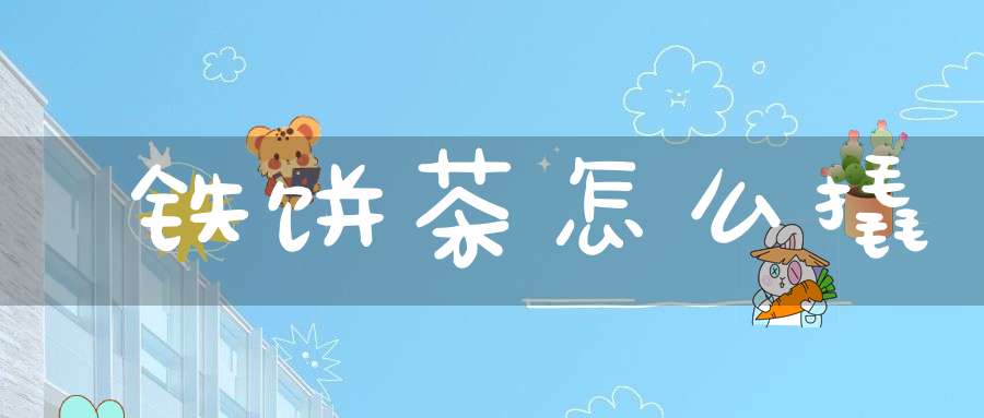 铁饼茶怎么撬