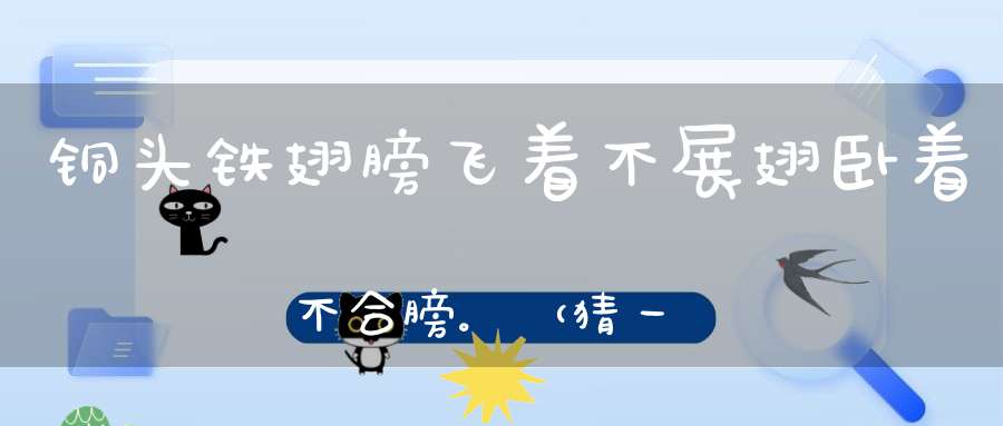 铜头铁翅膀，飞着不展翅，卧着不合膀。 （猜一动物）
