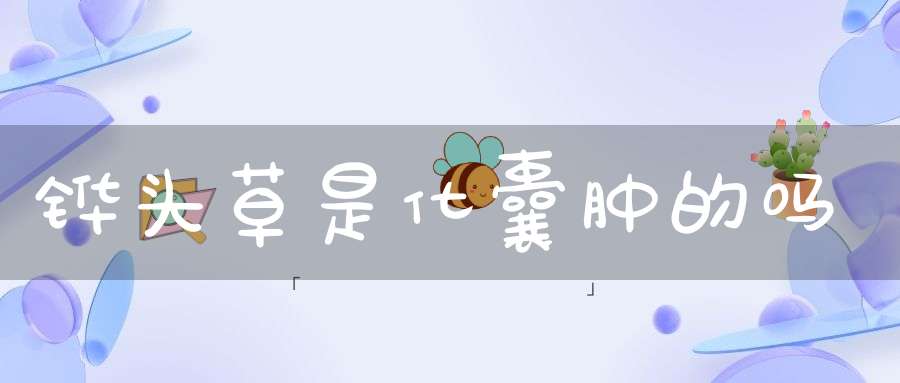 铧头草是化囊肿的吗？