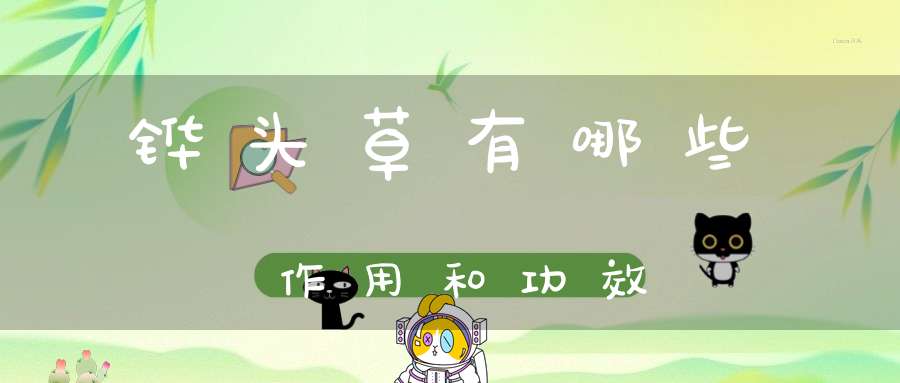 铧头草有哪些作用和功效？