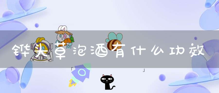 铧头草泡酒有什么功效？