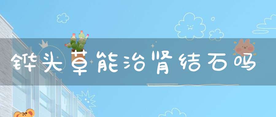 铧头草能治肾结石吗？