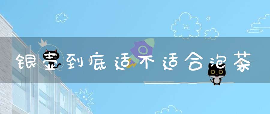 银壶到底适不适合泡茶