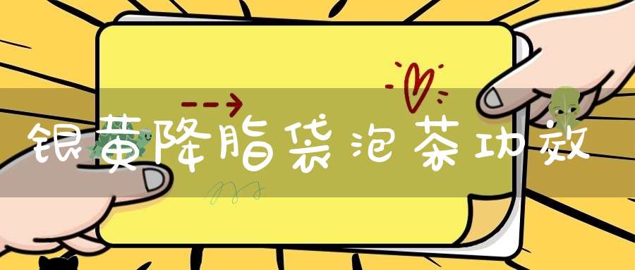 银黄降脂袋泡茶功效