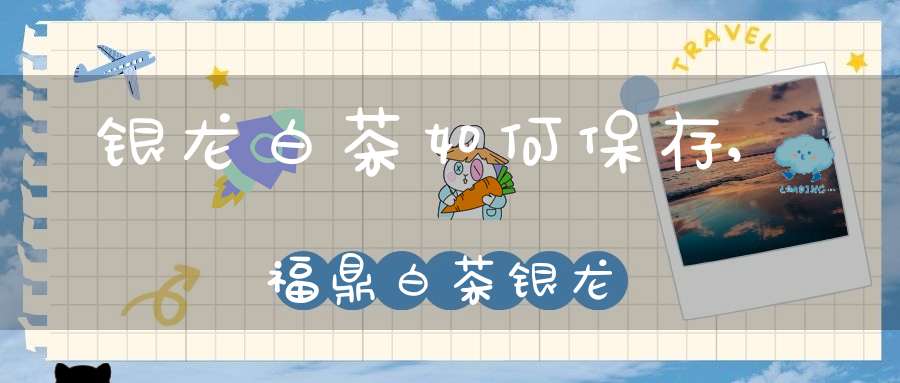 银龙白茶如何保存,福鼎白茶银龙