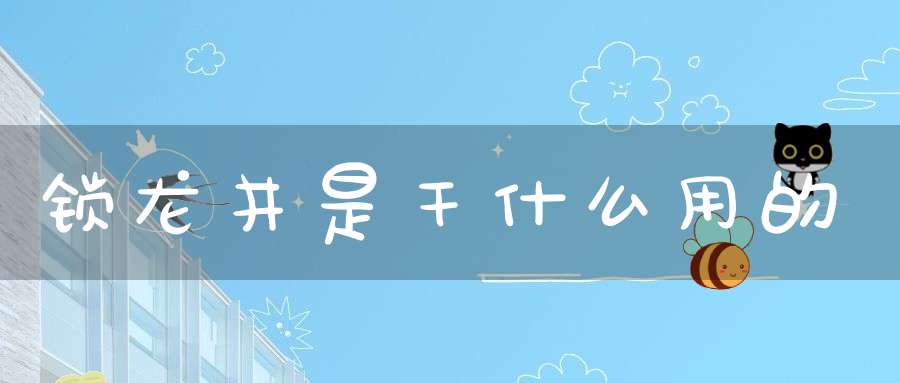 锁龙井是干什么用的