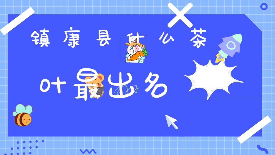 镇康县什么茶叶最出名