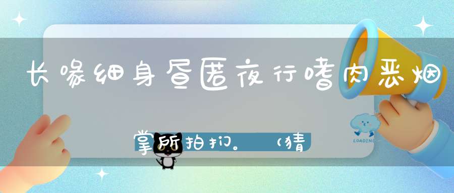 长喙细身，昼匿夜行，嗜肉恶烟，掌所拍扪。 （猜一昆虫）