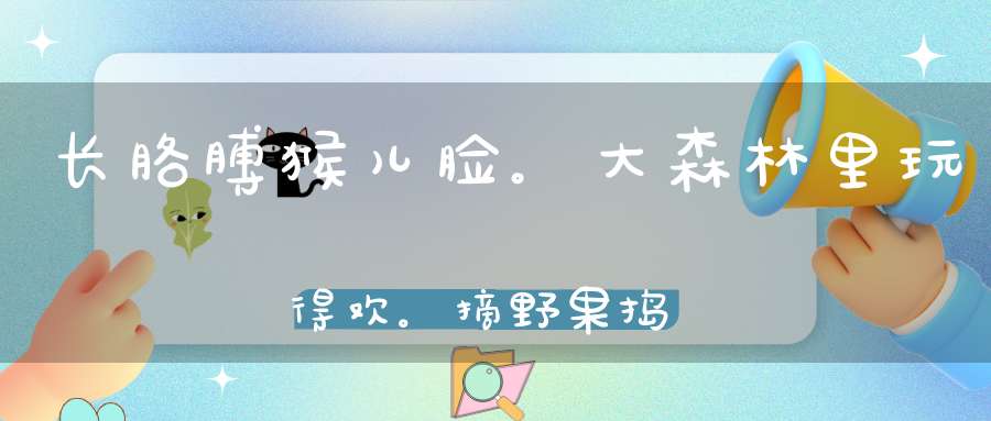 长胳膊，猴儿脸。大森林里玩得欢。摘野果，捣鹊蛋，抓住树枝荡秋