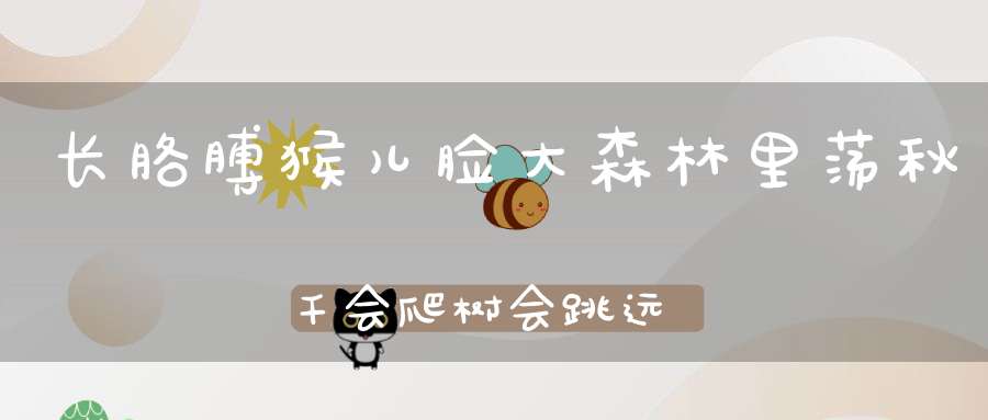 长胳膊，猴儿脸，大森林里荡秋千，会爬树，会跳远，它是野外运动员。 （猜一动物）