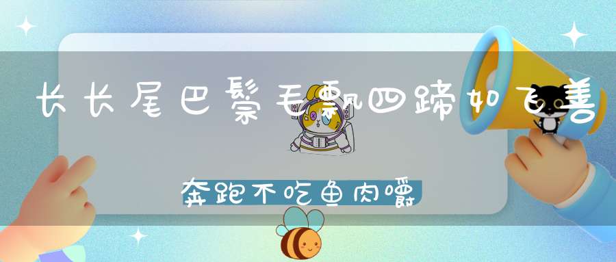 长长尾巴鬃毛飘，四蹄如飞善奔跑，不吃鱼肉嚼草料，为人服务常辛劳。 （猜一动物）